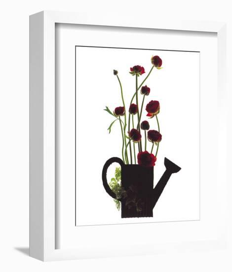 Wild Buttercups, Watering Can-Philippe Ughetto-Framed Art Print