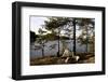 Wild camping, Stora Le Lake, Dalsland, Götaland, Sweden-Andrea Lang-Framed Photographic Print