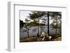 Wild camping, Stora Le Lake, Dalsland, Götaland, Sweden-Andrea Lang-Framed Photographic Print