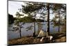 Wild camping, Stora Le Lake, Dalsland, Götaland, Sweden-Andrea Lang-Mounted Photographic Print