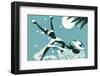 Wild Caribbean Dancer-Found Image Press-Framed Premium Photographic Print