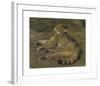 Wild Cat, 1850-Rosa Bonheur-Framed Premium Giclee Print