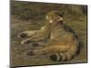 Wild Cat, 1850-Rosa Bonheur-Mounted Giclee Print