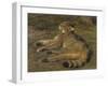 Wild Cat, 1850-Rosa Bonheur-Framed Giclee Print