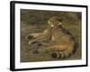 Wild Cat, 1850-Rosa Bonheur-Framed Giclee Print