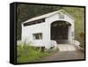 Wild Cat Covered Bridge, Lane County, Oregon, USA-William Sutton-Framed Stretched Canvas