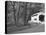 Wild Cat Covered Bridge, Lane County, Oregon, USA-William Sutton-Stretched Canvas