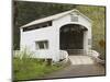 Wild Cat Covered Bridge, Lane County, Oregon, USA-William Sutton-Mounted Photographic Print