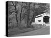 Wild Cat Covered Bridge, Lane County, Oregon, USA-William Sutton-Stretched Canvas