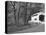 Wild Cat Covered Bridge, Lane County, Oregon, USA-William Sutton-Stretched Canvas