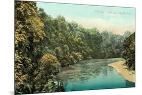 Wild Cat Creek, Lafayette-null-Mounted Art Print