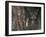 Wild Cat in Pine Forest, Cairngorms National Park, Scotland, UK-Pete Cairns-Framed Photographic Print