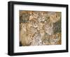 Wild Cat-Spread, 1992-Ditz-Framed Giclee Print