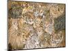 Wild Cat-Spread, 1992-Ditz-Mounted Giclee Print