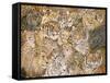 Wild Cat-Spread, 1992-Ditz-Framed Stretched Canvas