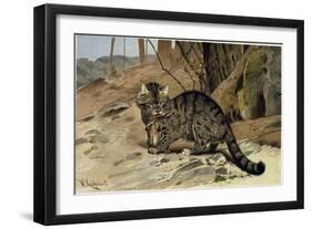 Wild Cat-null-Framed Giclee Print