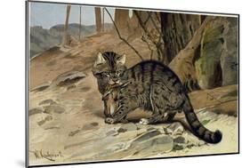 Wild Cat-null-Mounted Giclee Print