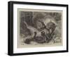 Wild Cats at Play-null-Framed Giclee Print