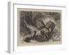 Wild Cats at Play-null-Framed Giclee Print