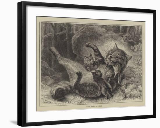 Wild Cats at Play-null-Framed Giclee Print