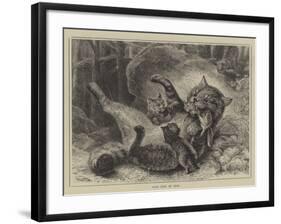 Wild Cats at Play-null-Framed Giclee Print