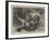 Wild Cats at Play-null-Framed Giclee Print