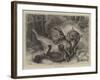 Wild Cats at Play-null-Framed Giclee Print