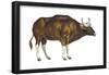 Wild Cattle, Gaur (Bos Gaurus), Mammals-Encyclopaedia Britannica-Framed Poster