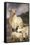 Wild Cattle of Chillingham, Northumberland, C.1867-Edwin Landseer-Framed Stretched Canvas