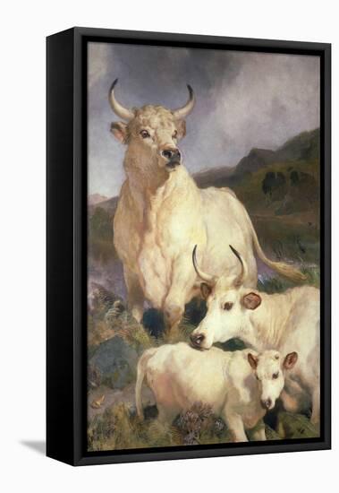 Wild Cattle of Chillingham, Northumberland, C.1867-Edwin Landseer-Framed Stretched Canvas