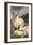 Wild Cattle of Chillingham, Northumberland, C.1867-Edwin Landseer-Framed Giclee Print