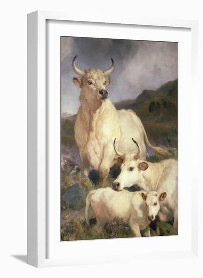 Wild Cattle of Chillingham, Northumberland, C.1867-Edwin Landseer-Framed Giclee Print