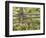 Wild Chamomile Growing around Log Fence-Adam Jones-Framed Photographic Print