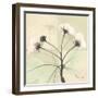 Wild Cherry Patch-Albert Koetsier-Framed Art Print