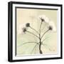 Wild Cherry Patch-Albert Koetsier-Framed Art Print