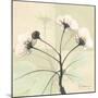 Wild Cherry Patch-Albert Koetsier-Mounted Art Print