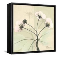 Wild Cherry Patch-Albert Koetsier-Framed Stretched Canvas