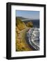 Wild Coast, Sunset, Ophir, Oregon Coast, Oregon, USA-Michel Hersen-Framed Photographic Print