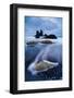 Wild Coast with Sea Stacks on a Stormy Day, Benijo, Anaga Peninsula, Tenerife, Spain-Relanzón-Framed Photographic Print