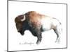 Wild Colorful Bison Dark Brown-Avery Tillmon-Mounted Art Print