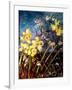 Wild Daffodils-jocasta shakespeare-Framed Giclee Print