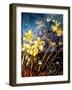 Wild Daffodils-jocasta shakespeare-Framed Giclee Print