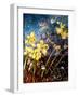 Wild Daffodils-jocasta shakespeare-Framed Giclee Print