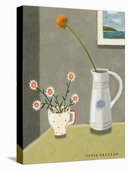 Wild Daisies and Jug-Sophie Harding-Stretched Canvas