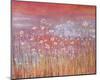 Wild Daisies at Sundown-Jo Starkey-Mounted Giclee Print