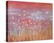 Wild Daisies at Sundown-Jo Starkey-Stretched Canvas