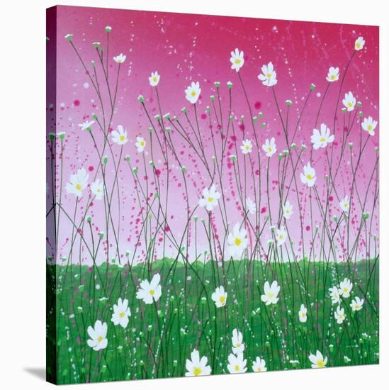 Wild Daisy Field-Herb Dickinson-Stretched Canvas