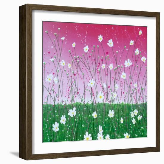 Wild Daisy Field-Herb Dickinson-Framed Photographic Print