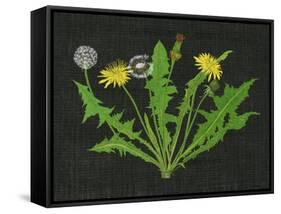 Wild Dandelion I-Melissa Wang-Framed Stretched Canvas