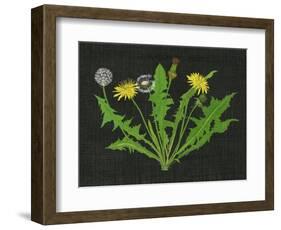 Wild Dandelion I-Melissa Wang-Framed Art Print